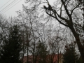 20161126_085218.jpg